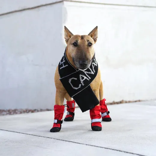 Canada Pooch Soft Shield Boots